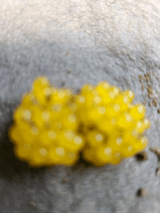 팜모닝 자유주제·사진전 게시글 이미지