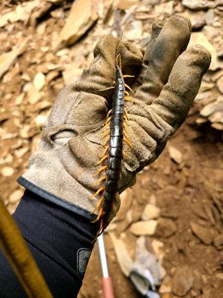시골농부현장님의 자유주제 · 사진전 작성글 사진