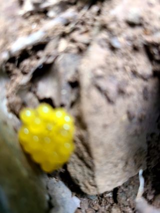 시골농부현장님의 자유주제 · 사진전 작성글 사진