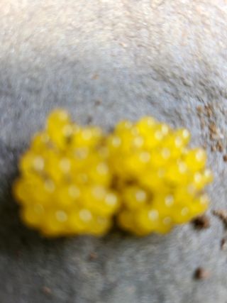 시골농부현장님의 자유주제 · 사진전 작성글 사진