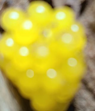 시골농부현장님의 자유주제 · 사진전 작성글 사진