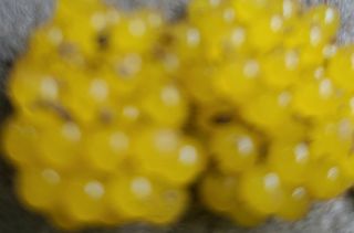 시골농부현장님의 자유주제 · 사진전 작성글 사진