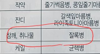 성훈경님의 참깨 · 병해충상담 작성글 사진