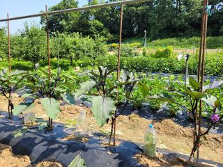 이현민님의 자유주제 · 사진전 작성글 사진