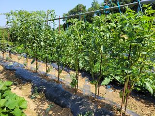 이현민님의 자유주제 · 사진전 작성글 사진