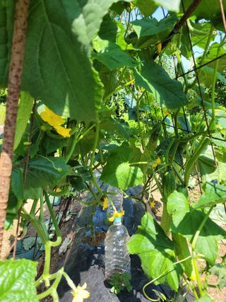 이현민님의 자유주제 · 사진전 작성글 사진