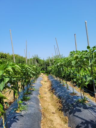 이현민님의 자유주제 · 사진전 작성글 사진