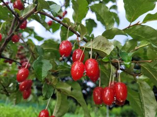 이현민님의 자유주제 · 사진전 작성글 사진
