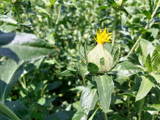 정진해님의 기타작물 · 자유게시판 작성글 사진