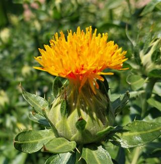 정진해님의 기타작물 · 자유게시판 작성글 사진