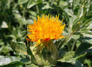 정진해님의 기타작물 · 자유게시판 작성글 사진