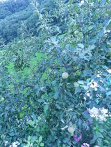 팜모닝 우리동네·동네자랑 게시글 이미지