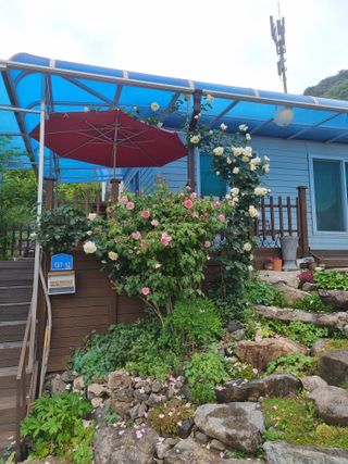 양구 촌놈님의 우리동네 · 동네자랑 작성글 사진