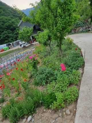 양구 촌놈님의 우리동네 · 동네자랑 작성글 사진