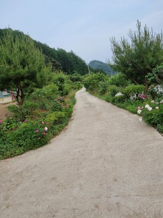 양구 촌놈님의 우리동네 · 동네자랑 작성글 사진
