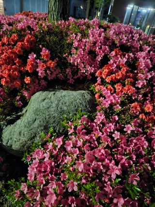 민민농원님의 자유주제 · 자유게시판 작성글 사진