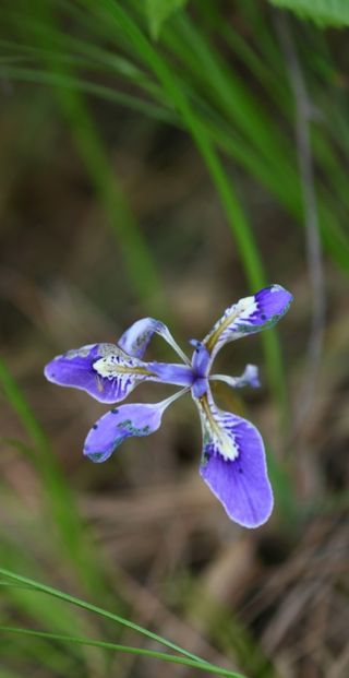 민민농원님의 자유주제 · 자유게시판 작성글 사진
