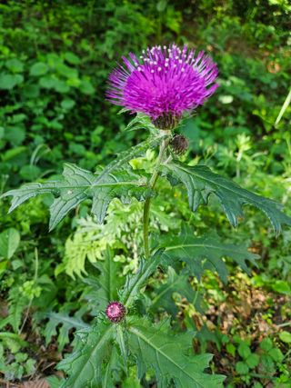 민민농원님의 자유주제 · 자유게시판 작성글 사진