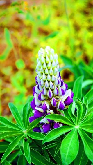 민민농원님의 자유주제 · 자유게시판 작성글 사진