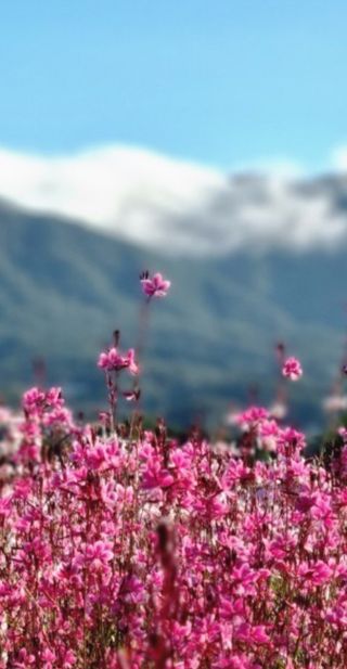 민민농원님의 자유주제 · 자유게시판 작성글 사진