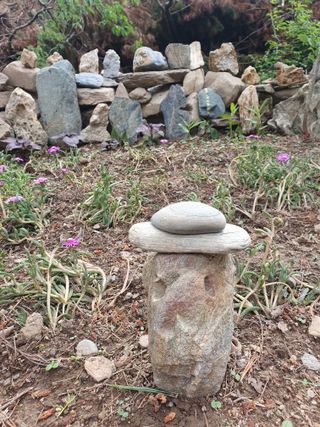 인생은 소풍처럼님의 오이 · 자유게시판 작성글 사진