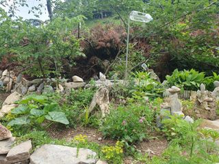 인생은 소풍처럼님의 오이 · 자유게시판 작성글 사진