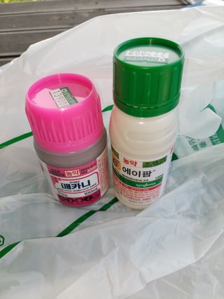 변용운님의 농부님! 어떤 농약 쓰세요?·참여 작성글 사진