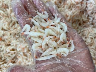 목포 물좋은수산님의 작성글 사진