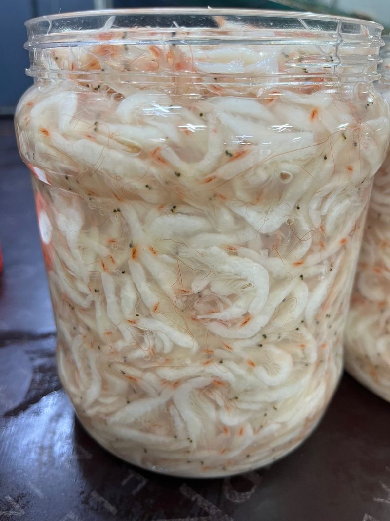 목포 물좋은수산님의 장터 판매 상품 [판매완료))   육젓2kg] 첨부 사진