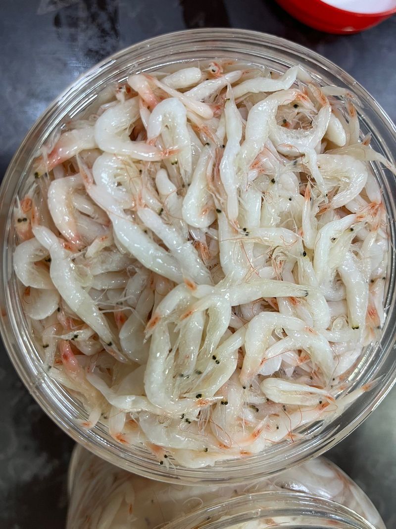 목포 물좋은수산님의 장터 판매 상품 [판매완료))   육젓2kg] 첨부 사진