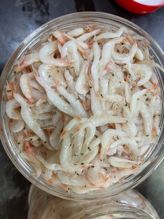 목포 물좋은수산님의 작성글 사진