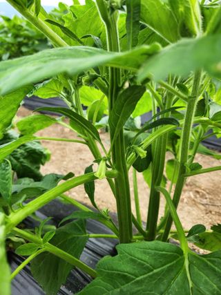 HYUN님의 참깨 · 자유게시판 작성글 사진