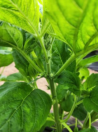 HYUN님의 참깨 · 자유게시판 작성글 사진