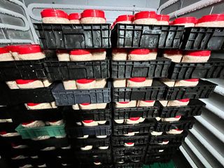 목포 물좋은수산님의 자유주제 · 자유게시판 작성글 사진