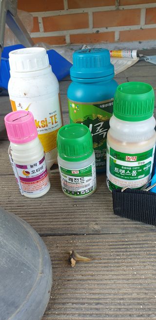 김근수님의 농부님! 어떤 농약 쓰세요?·참여 작성글 사진
