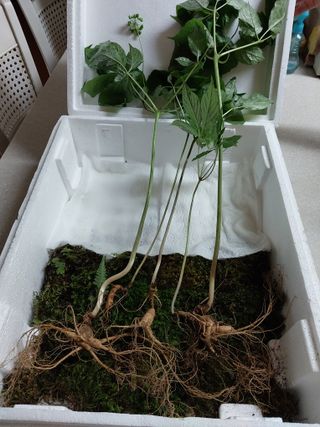 김봉호님의 작성글 사진