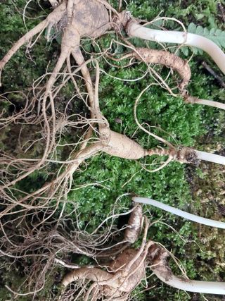 김봉호님의 작성글 사진