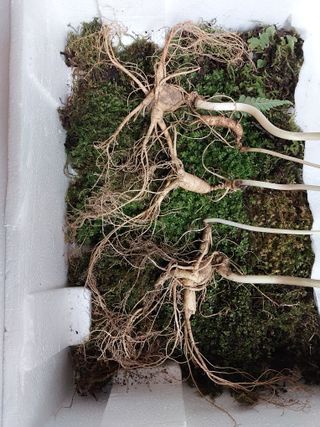 김봉호님의 작성글 사진