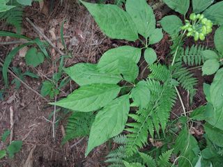 김봉호님의 작성글 사진