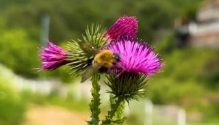 울금박사[빈덕열]님의 자유주제 · 자유게시판 작성글 사진