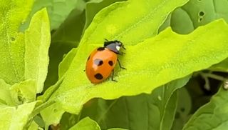 울금박사[빈덕열]님의 자유주제 · 자유게시판 작성글 사진