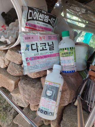 정규상님의 자유주제 · 자유게시판 작성글 사진