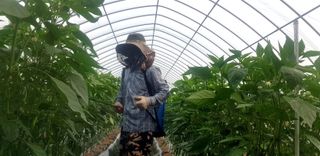 이튼실님의 고추 · 일상 작성글 사진