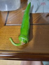 팜모닝 고추·병해충상담 게시글 이미지