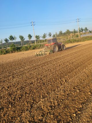 희찬모(정정자)님의 콩 · 영농일지 작성글 사진