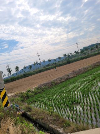 희찬모(정정자)님의 콩 · 영농일지 작성글 사진