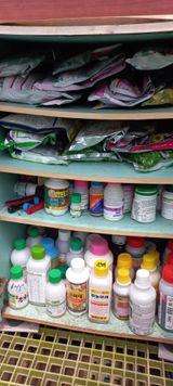 팜모닝 농부님! 어떤 농약 쓰세요?·참여 게시글 이미지