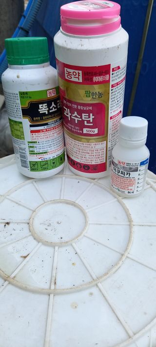 지원대님의 농부님! 어떤 농약 쓰세요?·참여 작성글 사진