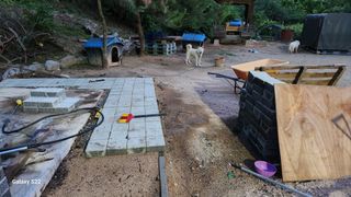 김준한님의 자두 · 자유게시판 작성글 사진