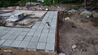 김준한님의 자두 · 자유게시판 작성글 사진